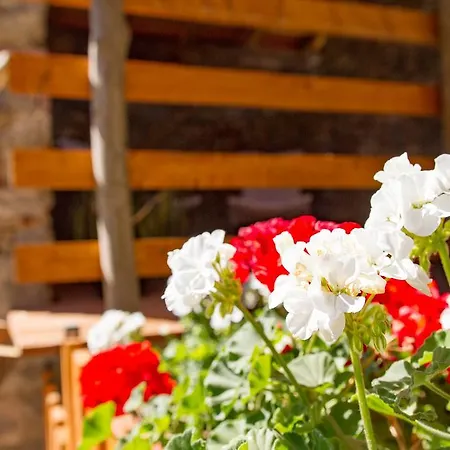 Cascinetta32 Фермерский дом