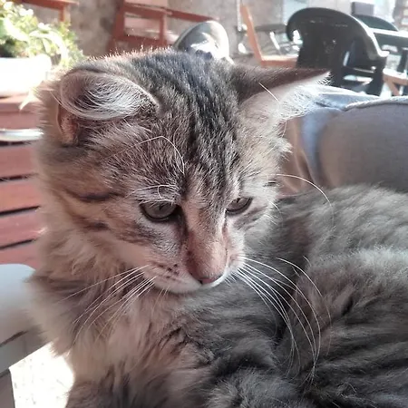 Gospodarstwo agroturystyczne Cascinetta32 *